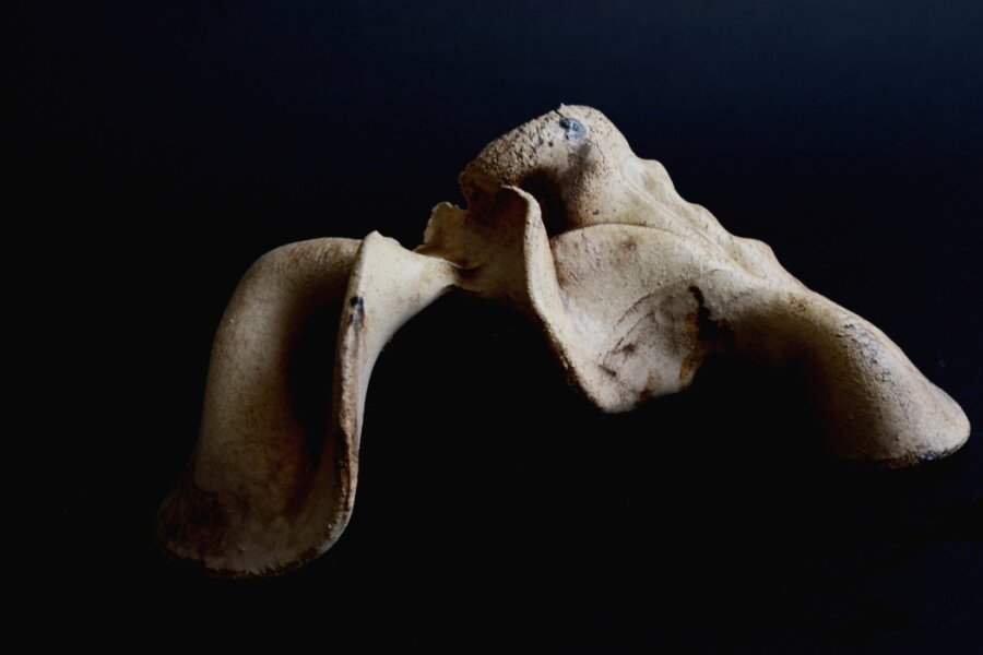 fragment z instalace Po hmatu_kolektiv autorů_2016-17_KVV PdF MU